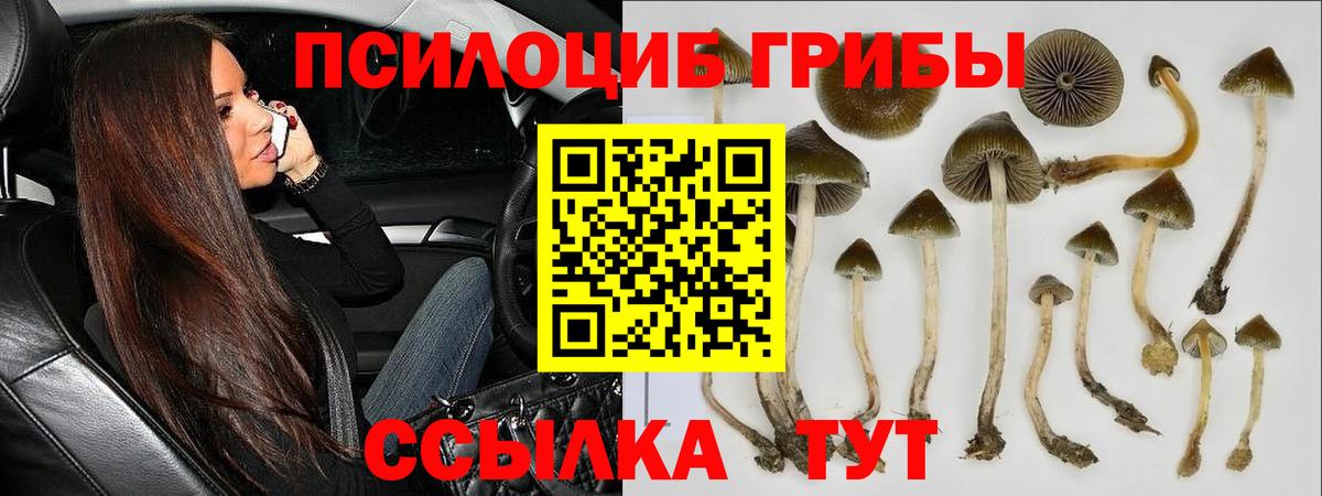 Галлюциногенные грибы мухоморы  Вход с VPN  Глазов  Псилоцибиновые грибы прущие грибы 